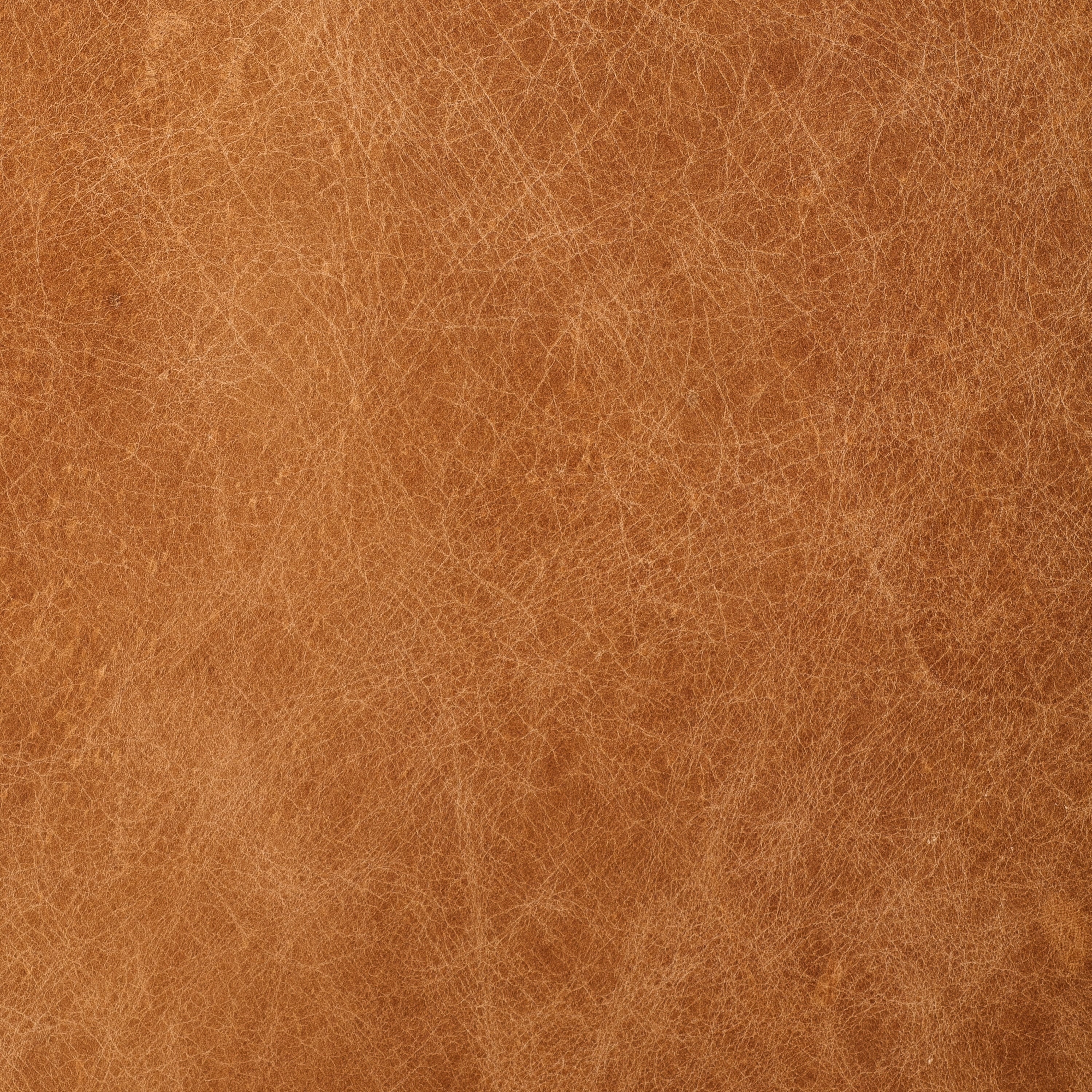 Poly & Bark Canale Sofa - Full Grain Genuine Italian Leather