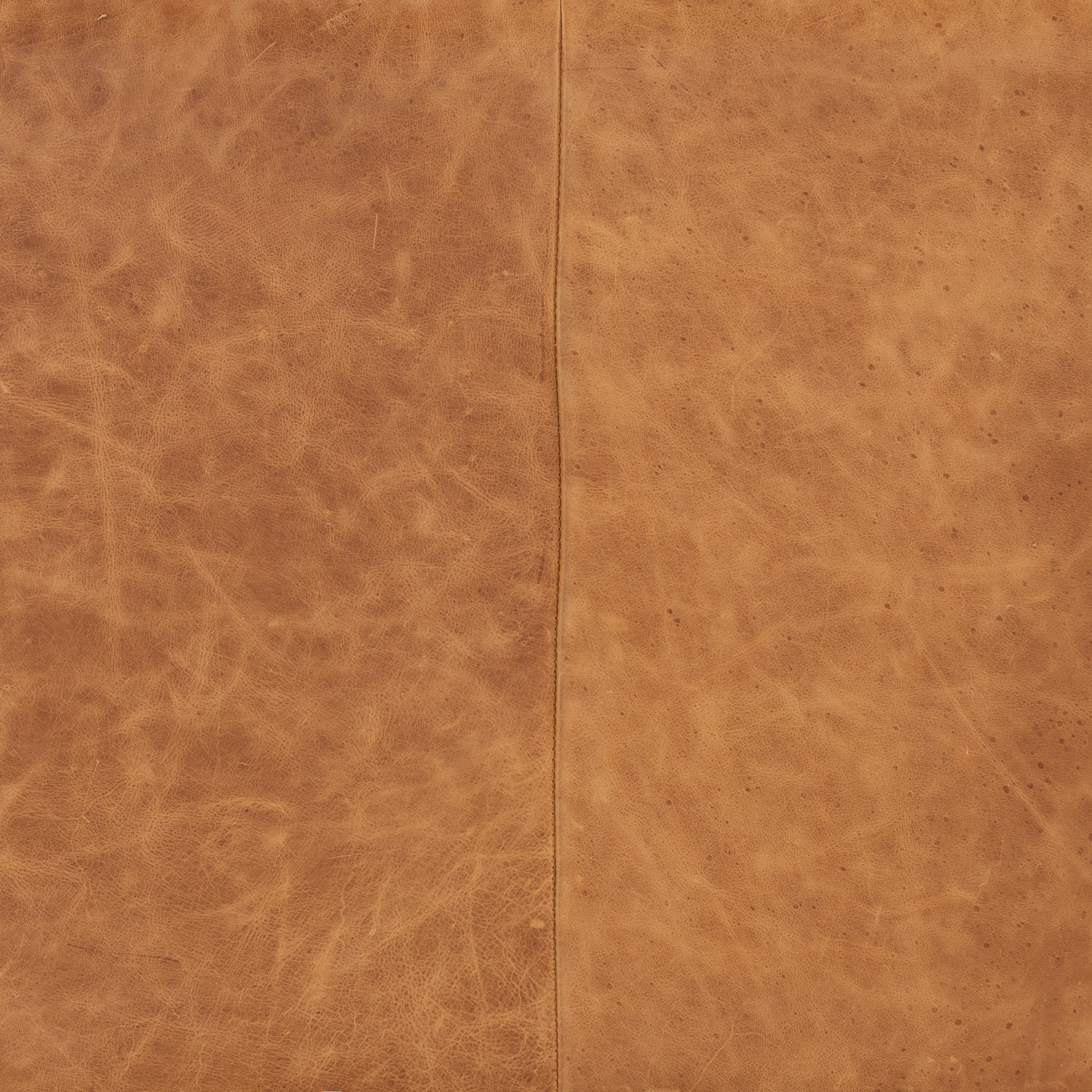 Poly & Bark Napa 88.5 Sofa - Genuine Italian Leather