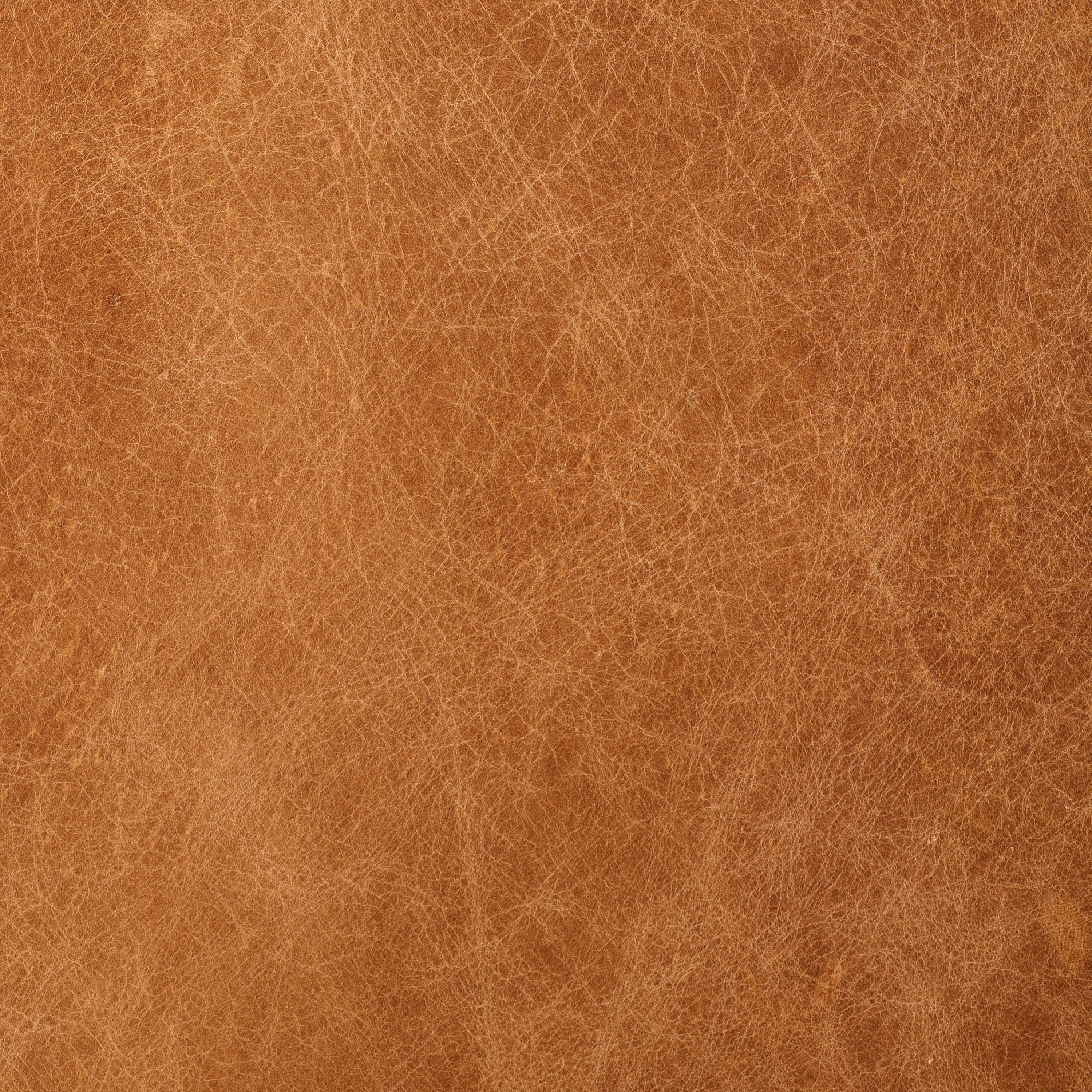 Poly & Bark Napa 88.5 Sofa - Genuine Italian Leather